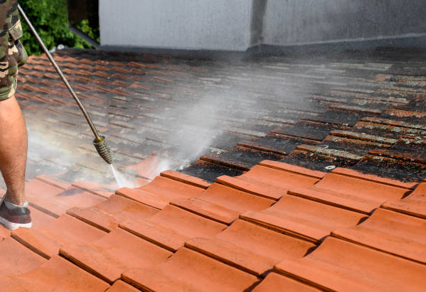 Deck Cleaning Services in Andover, MN