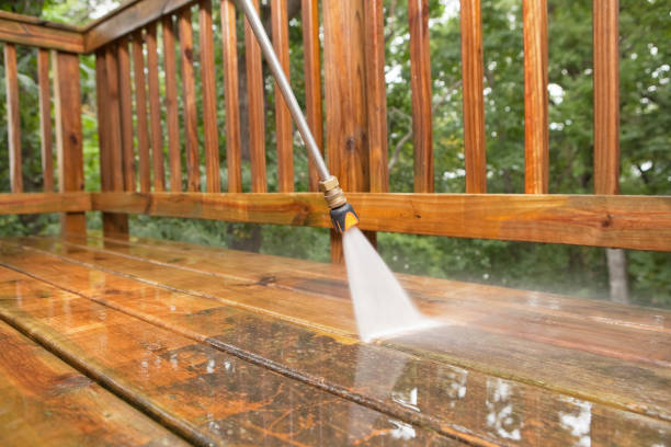 Best Exterior Home Cleaning  in Andover, MN